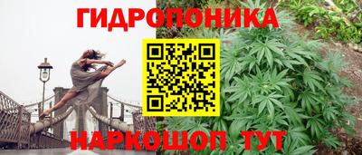 мдма Заволжье